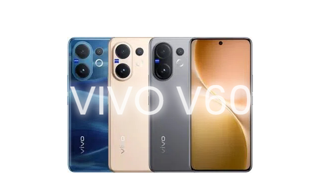 vivo v60
